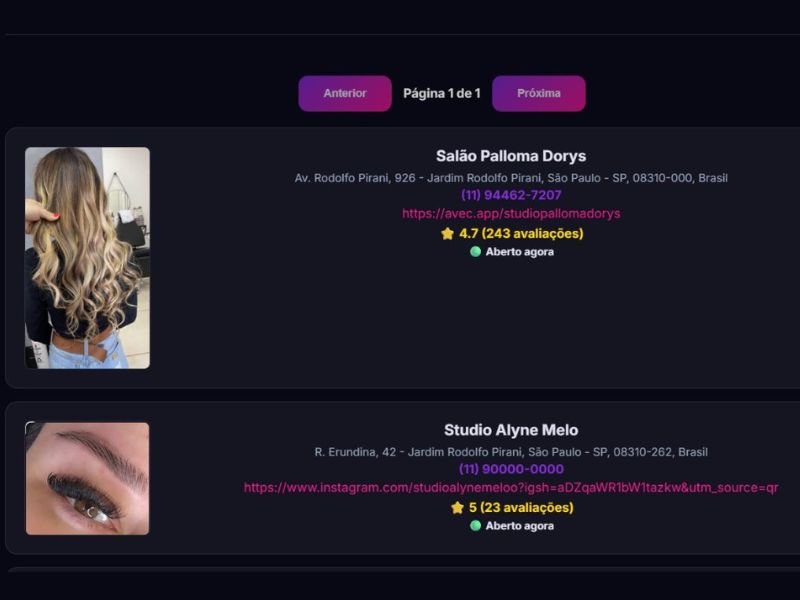 Passo 2: Geração de leads validados com contatos de empresas.